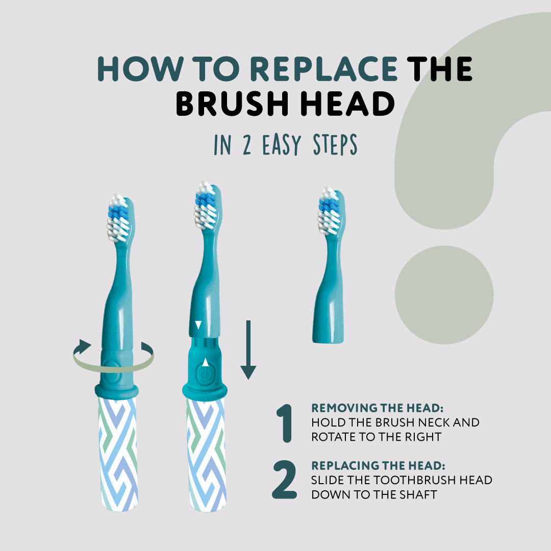 Bibenanova® Family Toothbrush - Bibenanova usa