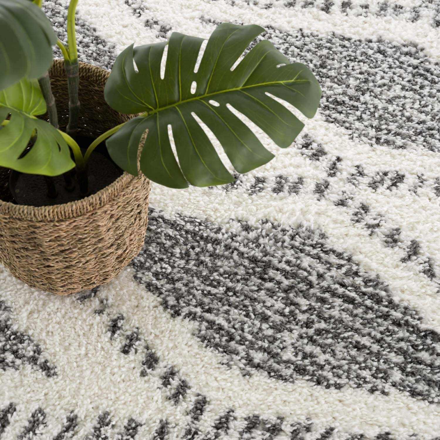 Trunding Plush Area Rug - Bibenanova usa