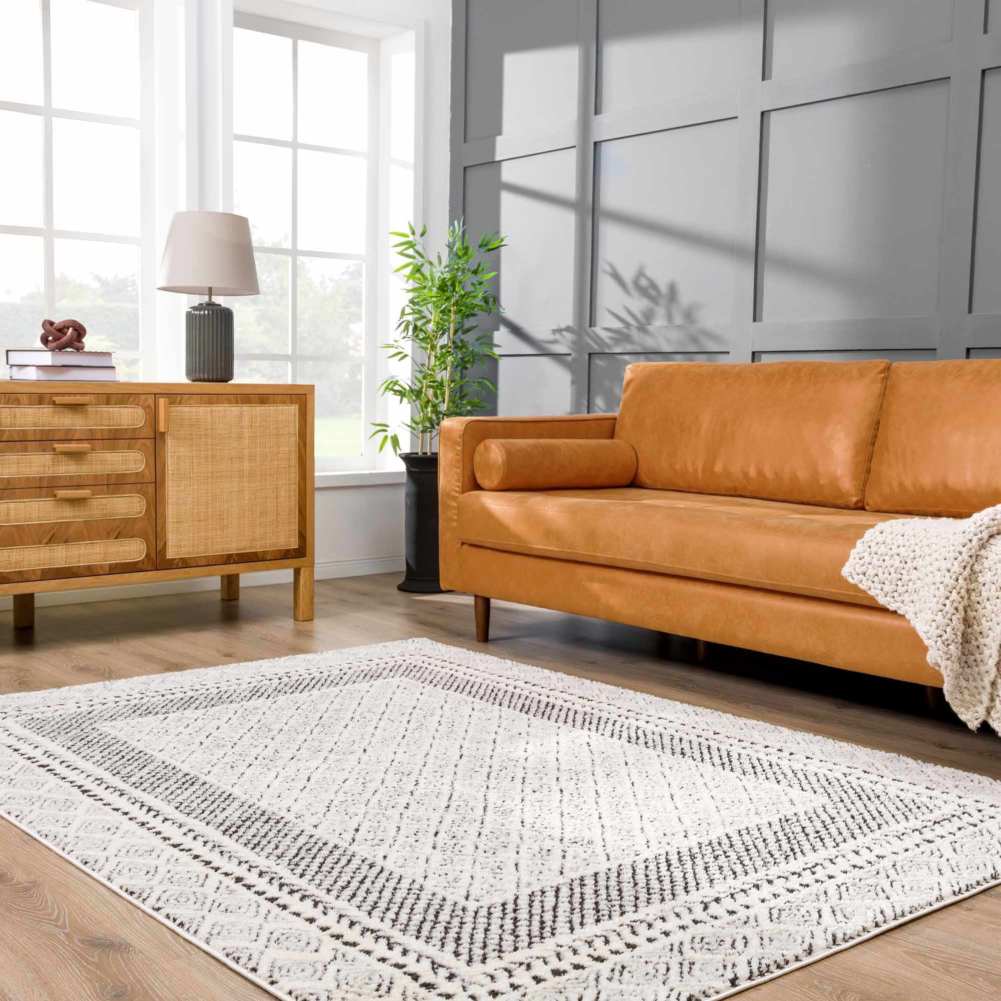 Julio Area Rug - Clearance