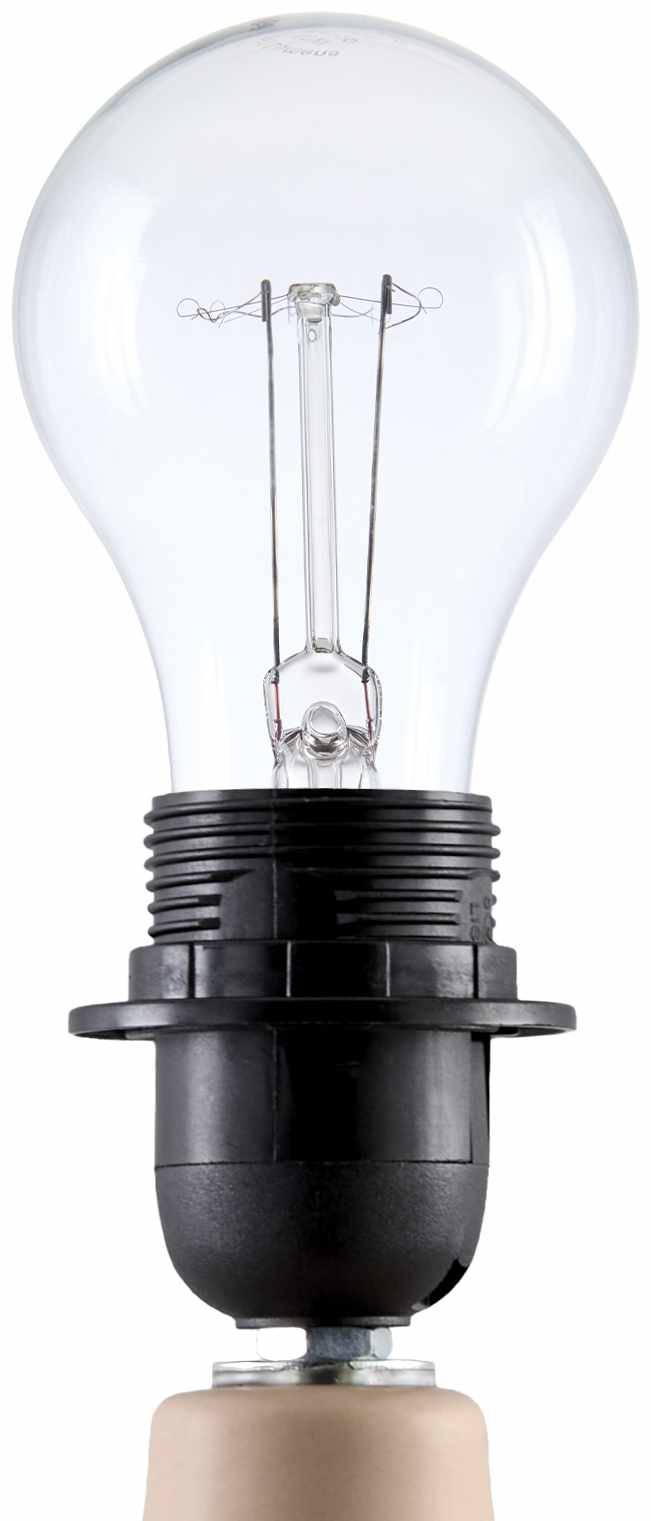 Lumellogno Coral Table Lamp - Bibenanova usa