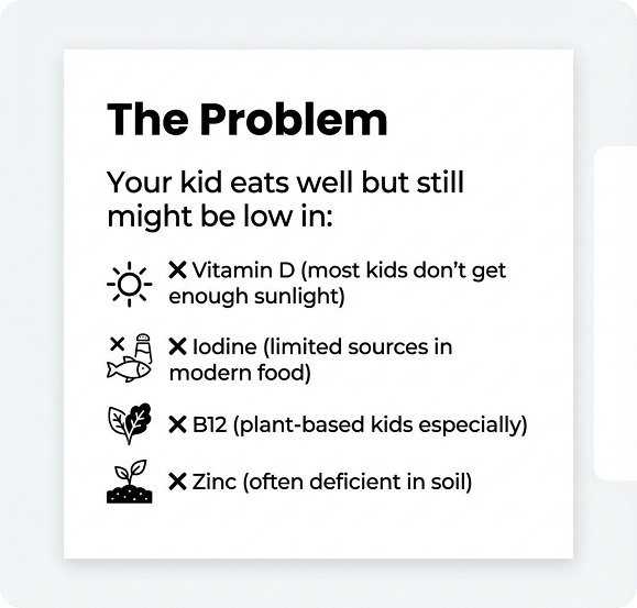 Bibena™ Growwell – Kids Daily Immune + Growth Gummy - Bibenanova