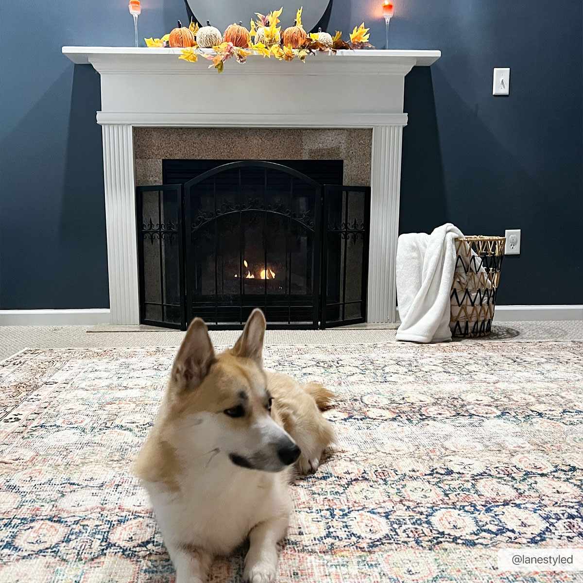 Maligaya Distressed Washable Rug - Clearance - Bibenanova usa