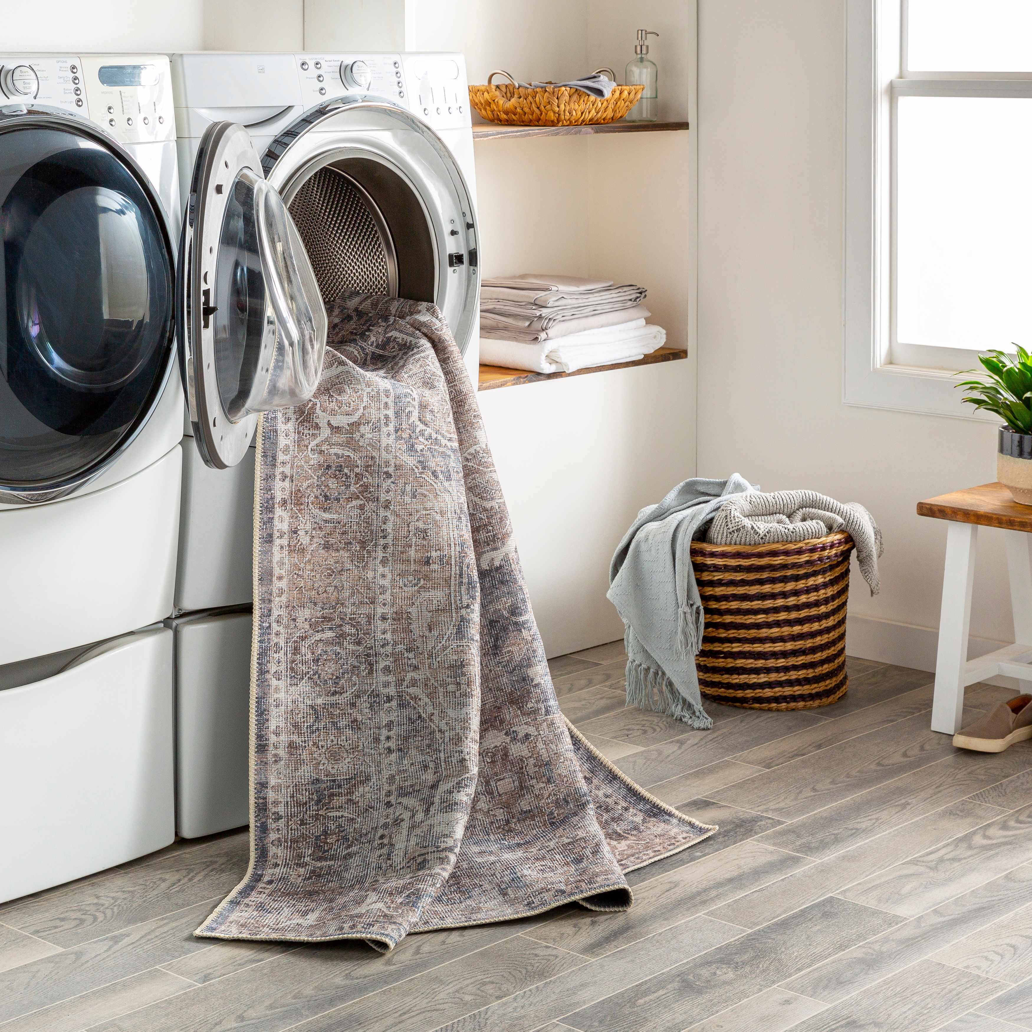 Mignon Washable Area Rug - Bibenanova usa