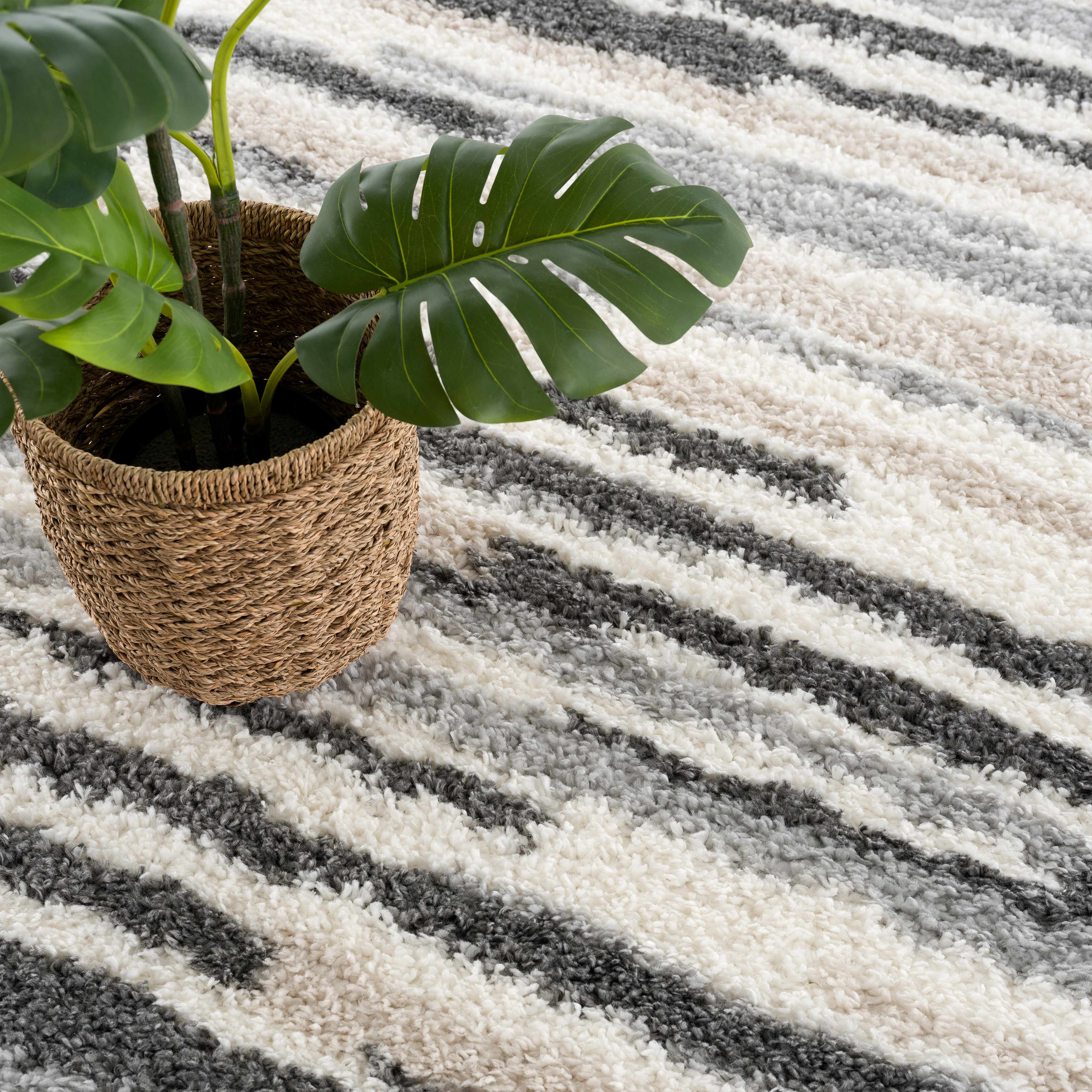 Zoya Irregular Striped Area Rug - Bibenanova usa