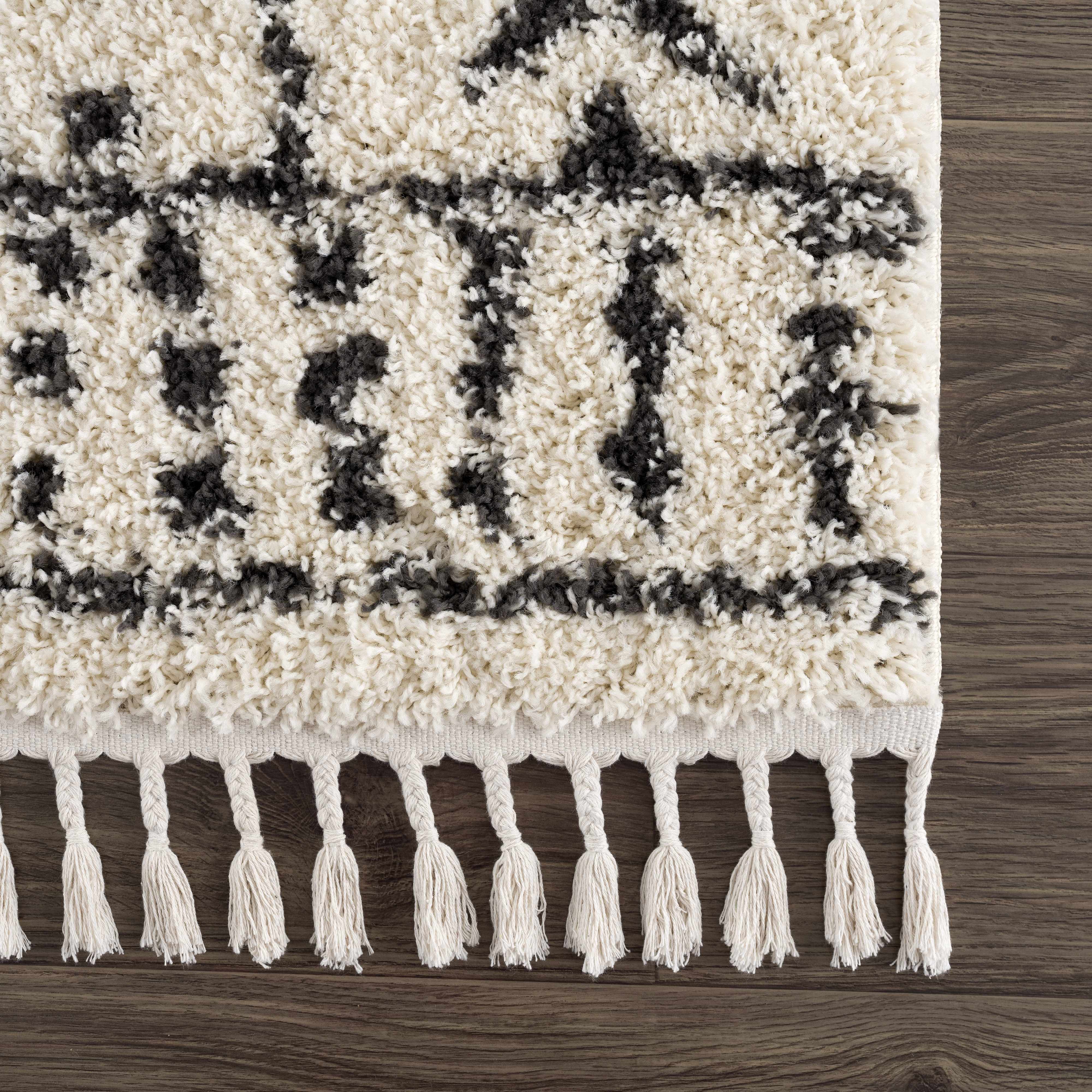 Hauppauge Berber Shag Carpet - Bibenanova