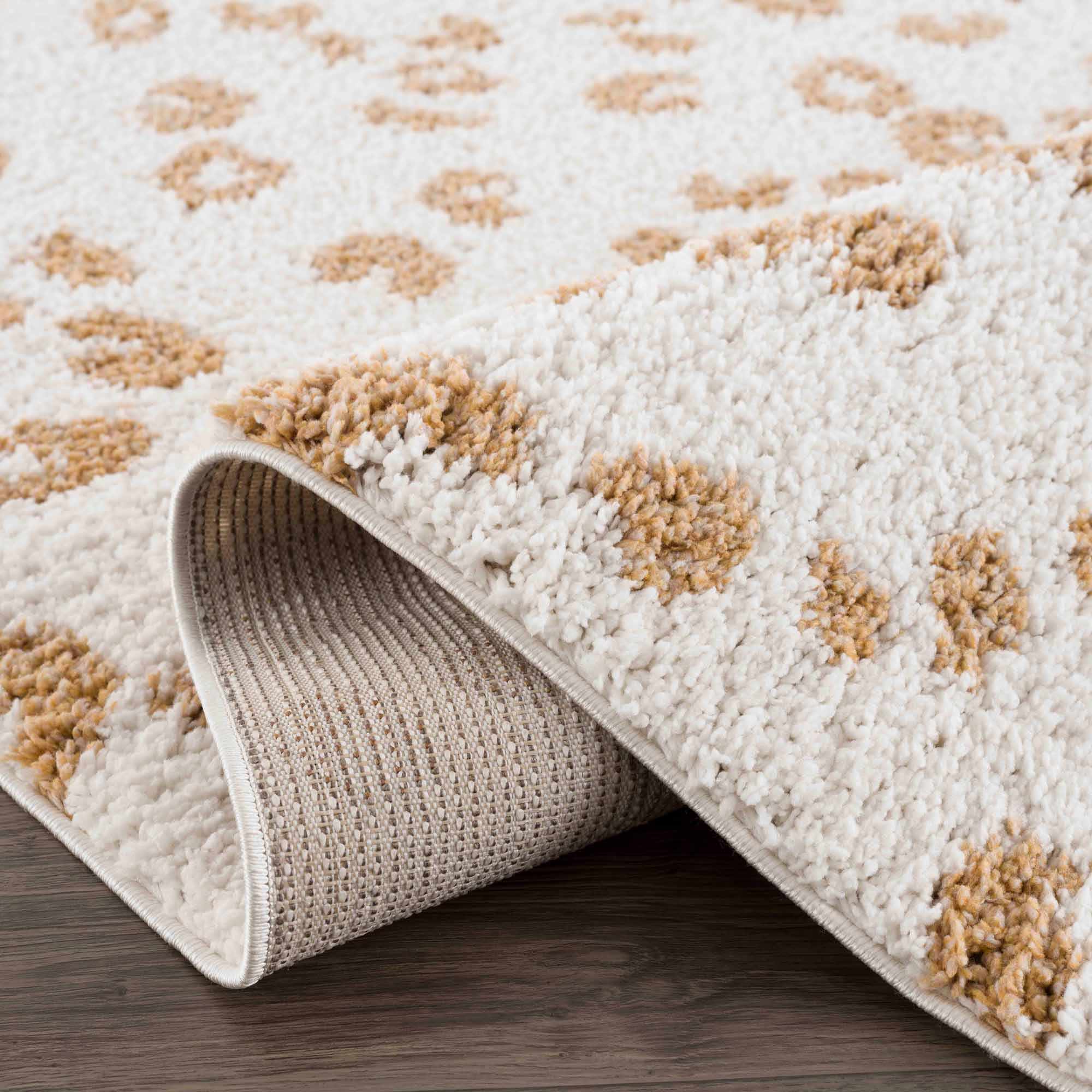 Altin Area Rug - Clearance - Bibenanova