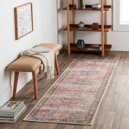 Dunsha Boutique Washable Area Rug - Clearance - Bibenanova