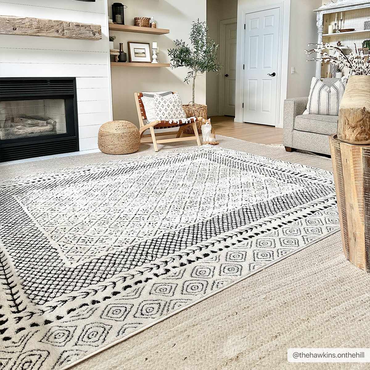 Julio Area Rug - Clearance - Bibenanova
