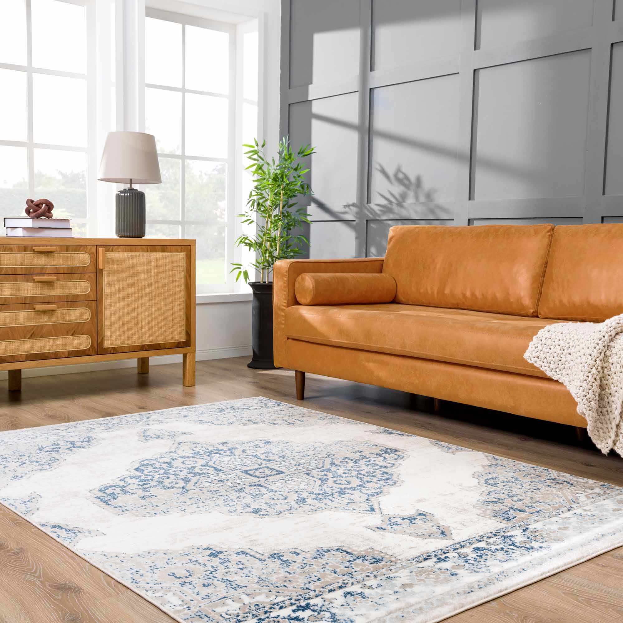 Amir Area Rug - Clearance - Bibenanova