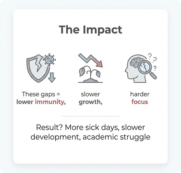 Bibena™ Growwell – Kids Daily Immune + Growth Gummy - Bibenanova