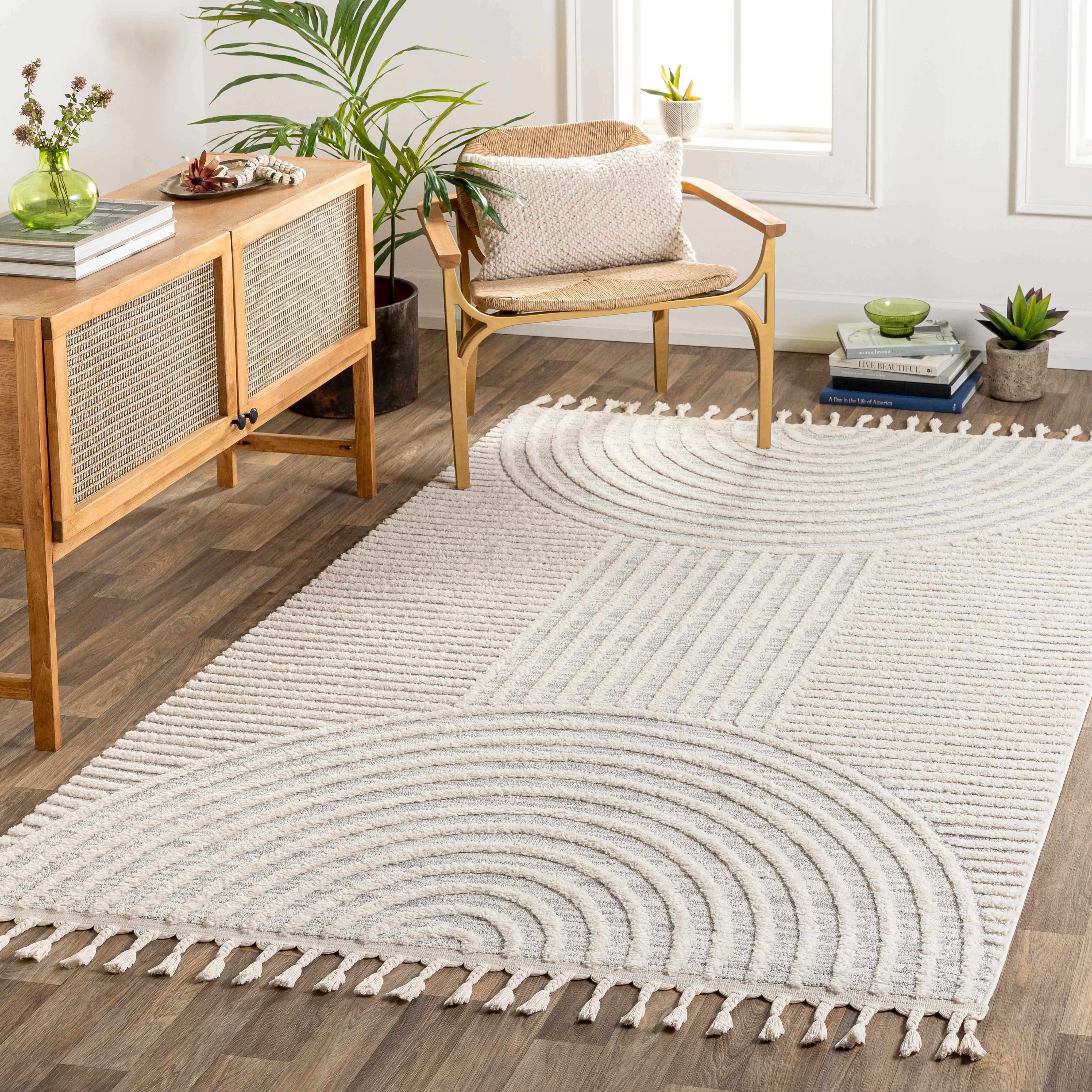 Dauin 3D Rainbow Area Rug with Tassels - Bibenanova